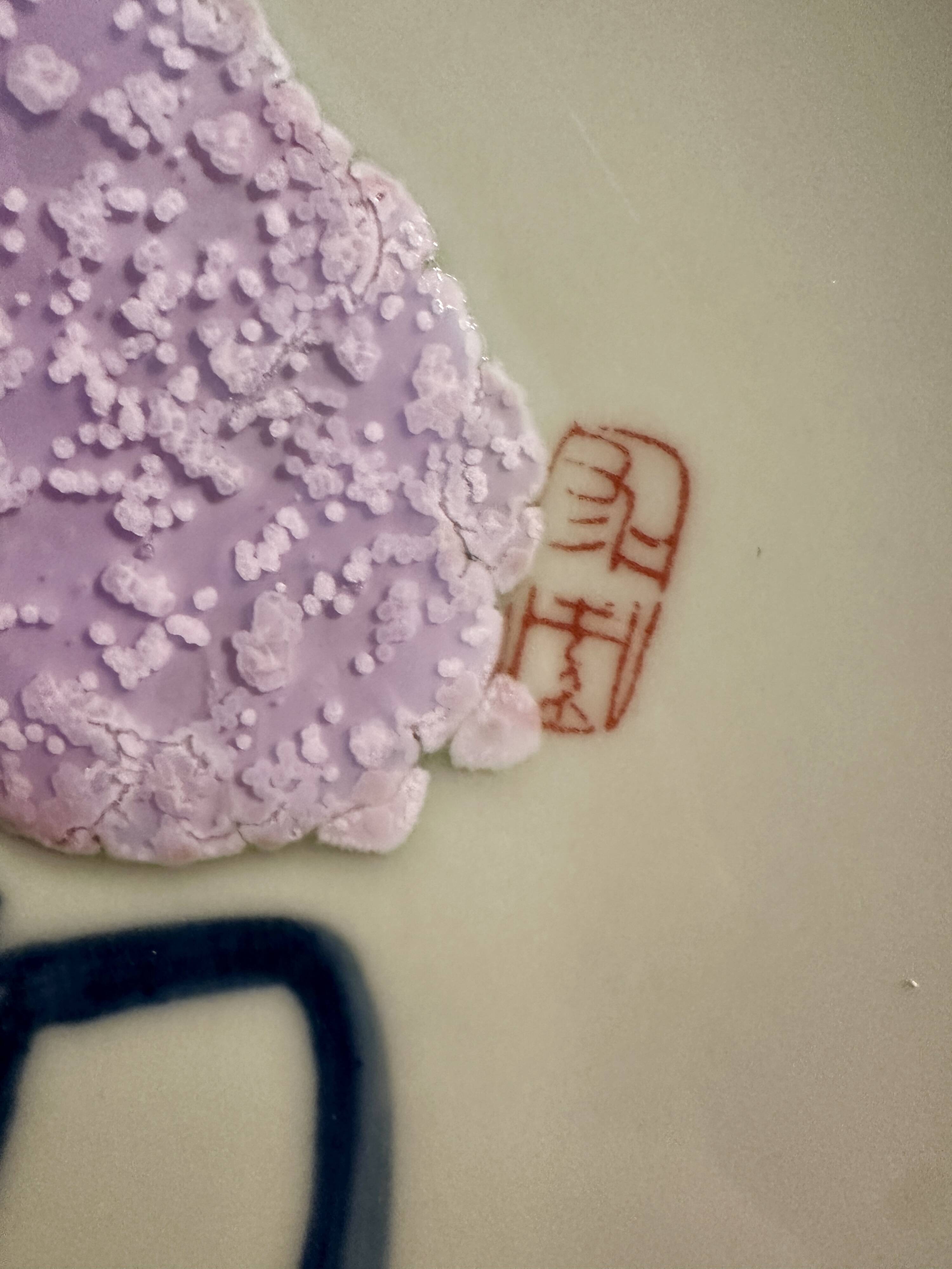 Plates by Attua Aparicio Torinos