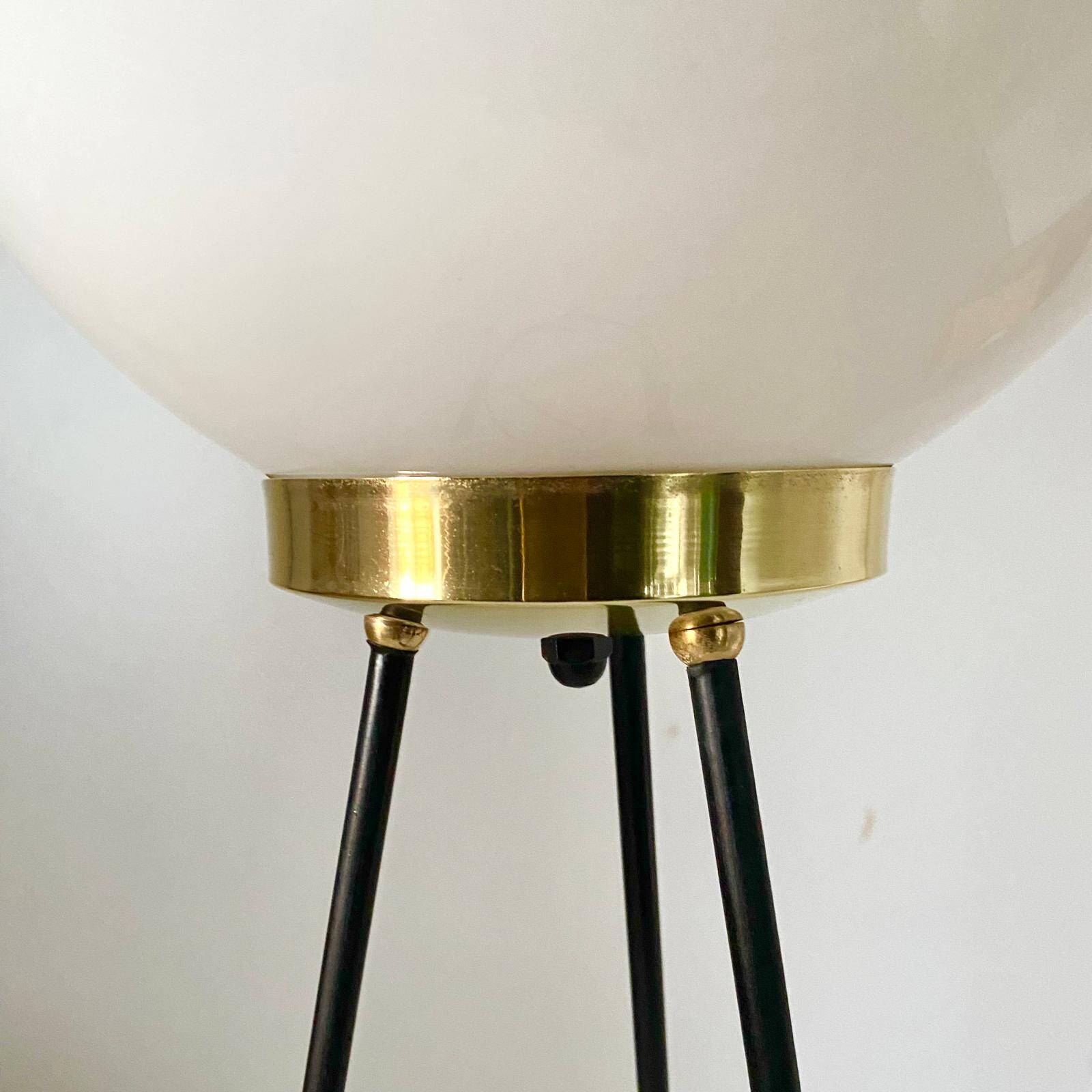 Vintage Stilnovo Floor Lamp, Opaline Glass & Iron, Italy 1950s