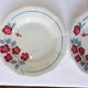 2 deep plates Céranord St Amand model Le Printemps (220634)