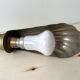 Lampe de bureau "coquillage" ancienne années 50, luminaire vintage