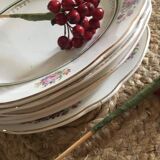 Old plates with matching flowers