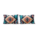 Paire de coussins