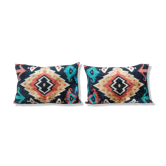 Paire de coussins