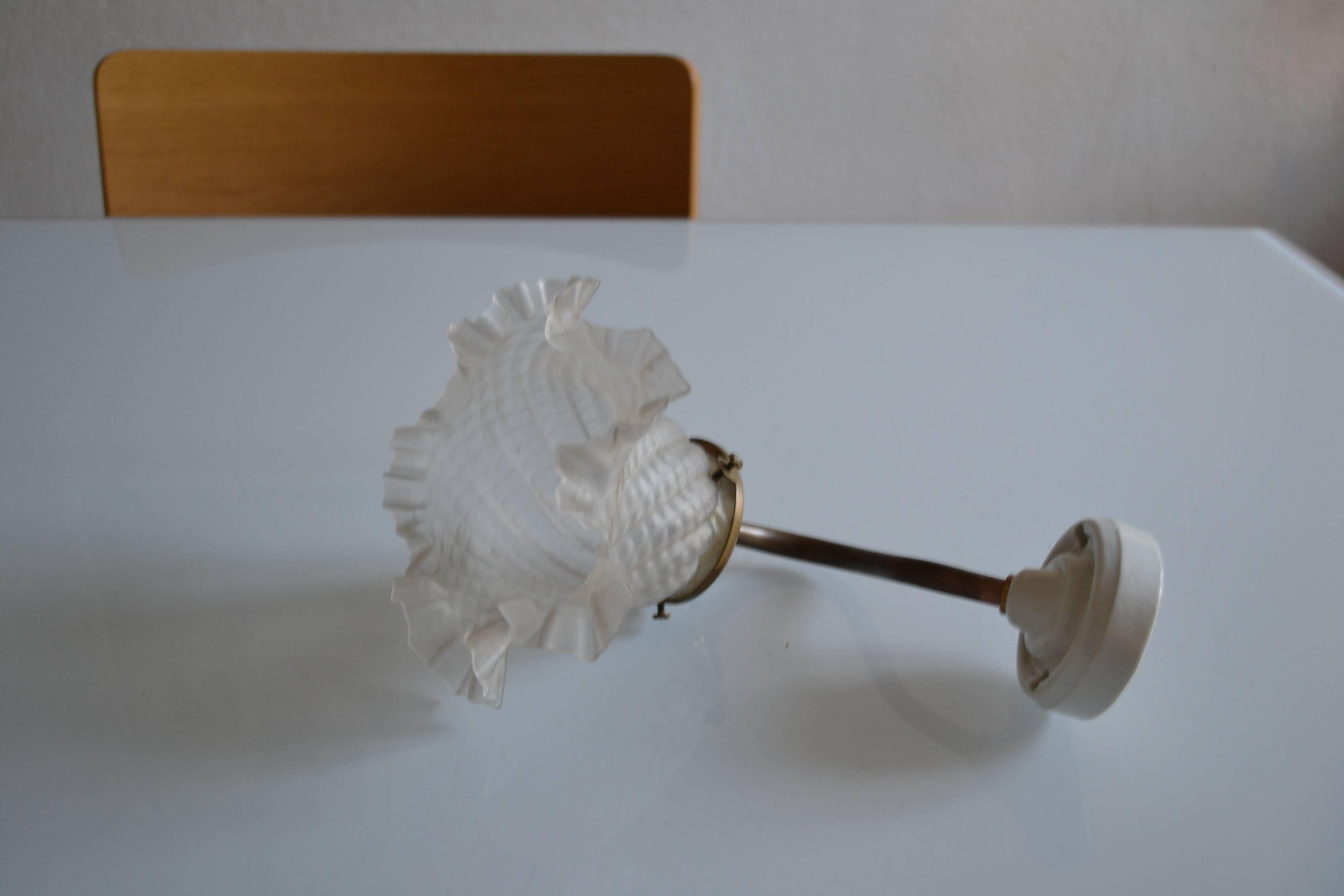 Swan neck wall lamp and its tulip, early 20th century.