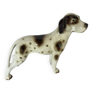 Pointer anglais