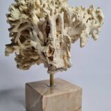 Antique White Coral on Marble Base, Height 20 cm