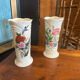 Paire de vases asiatique