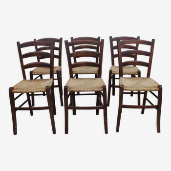 Series of 6 mulched chairs