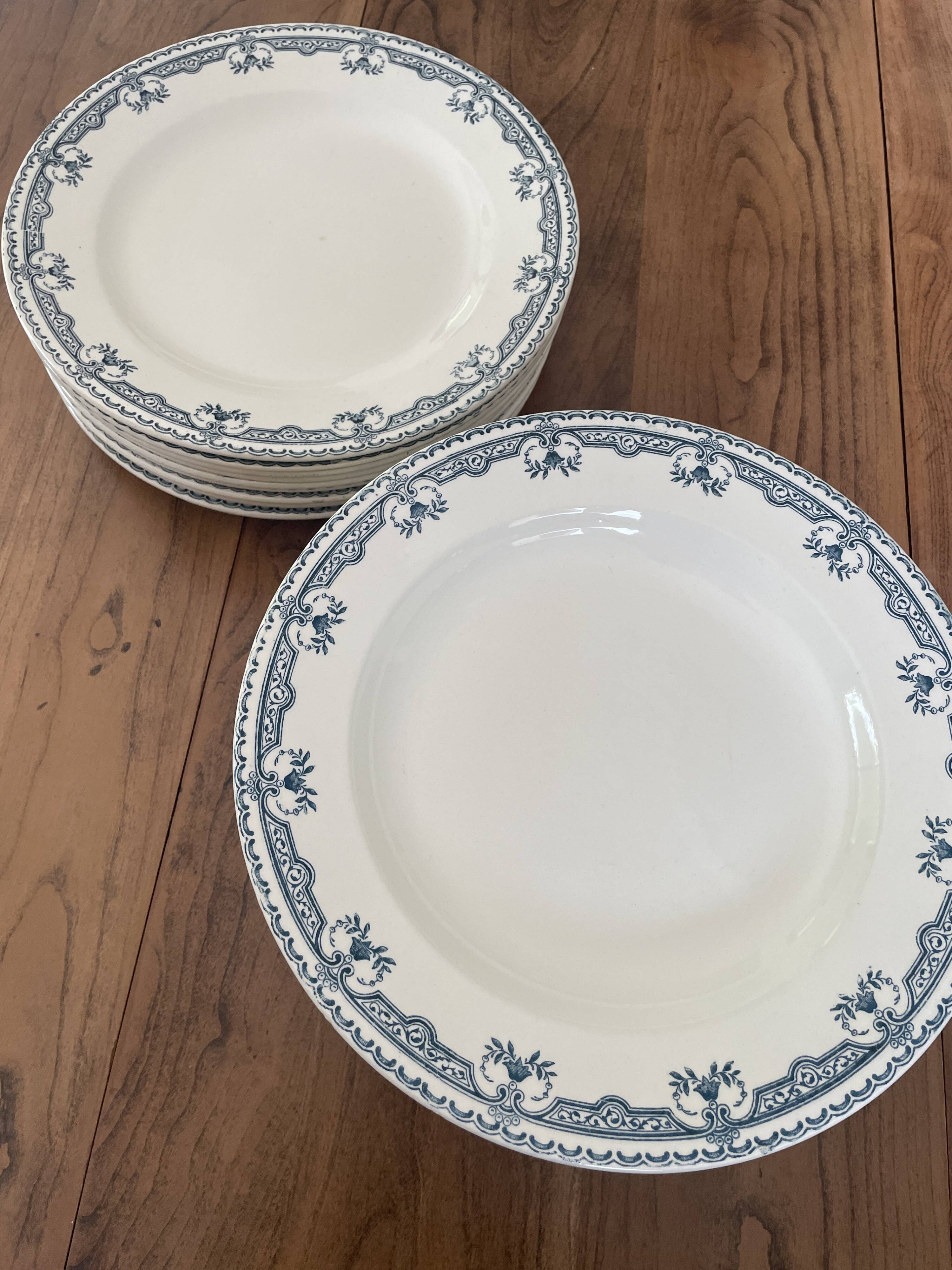 Assiettes terre de feu salins