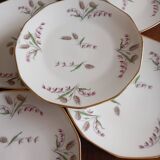 6 Limosa hard porcelain dessert plates (Limoges)