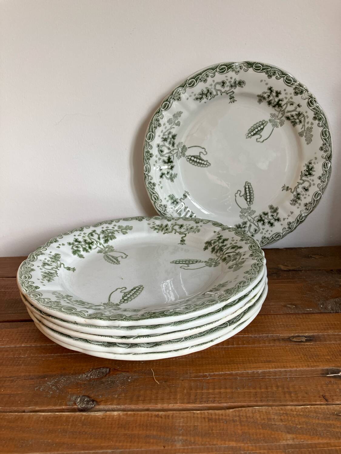 6 iron earth plates