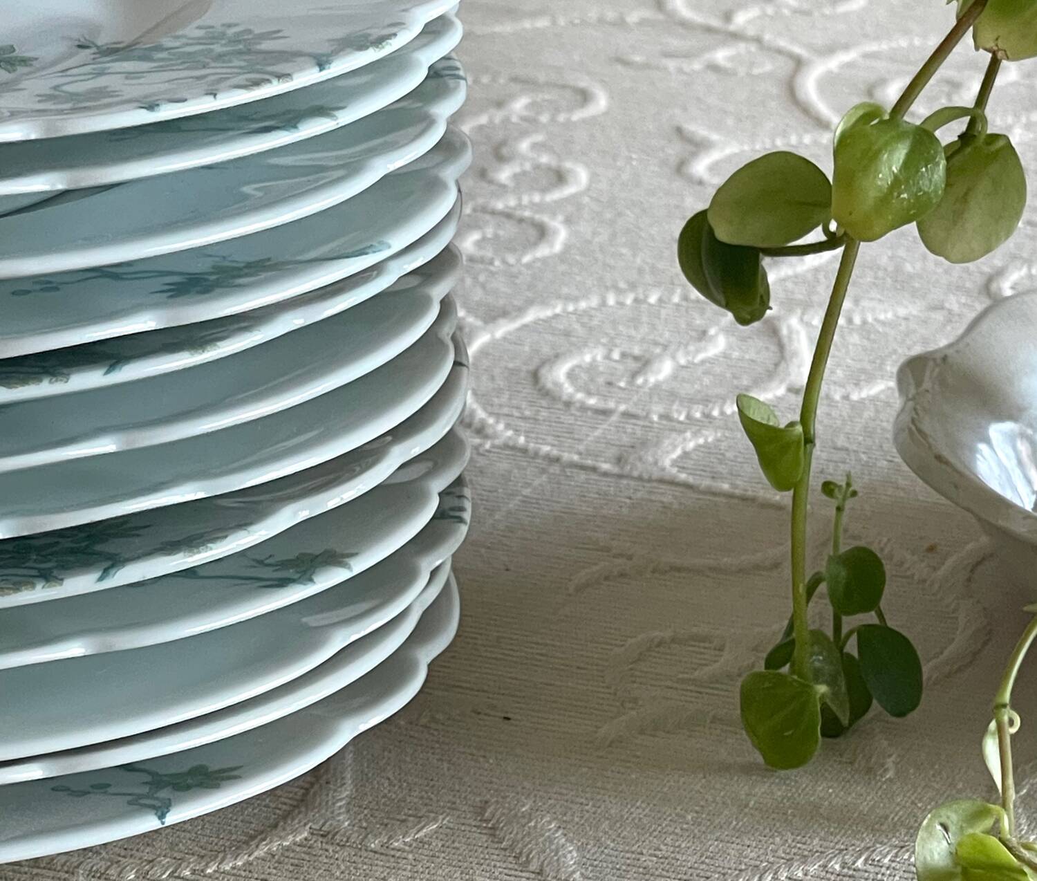 12 Haviland Limoges dessert plates.