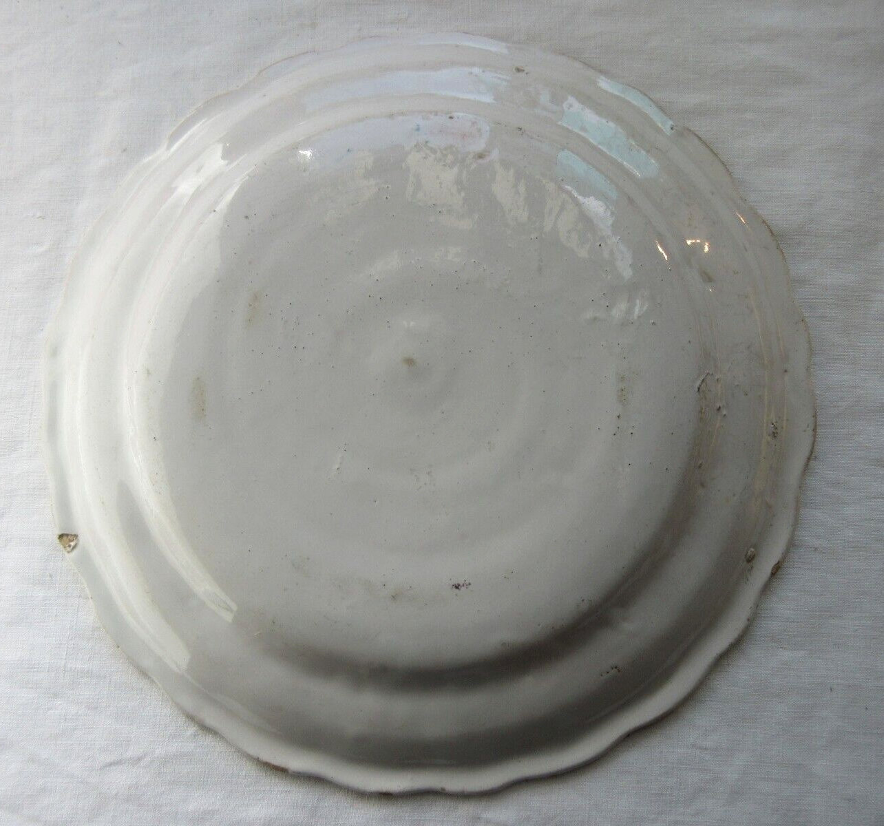 Plate XIXth, Perched bird catching insects