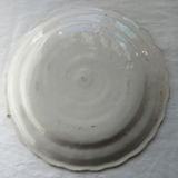 Plate XIXth, Perched bird catching insects