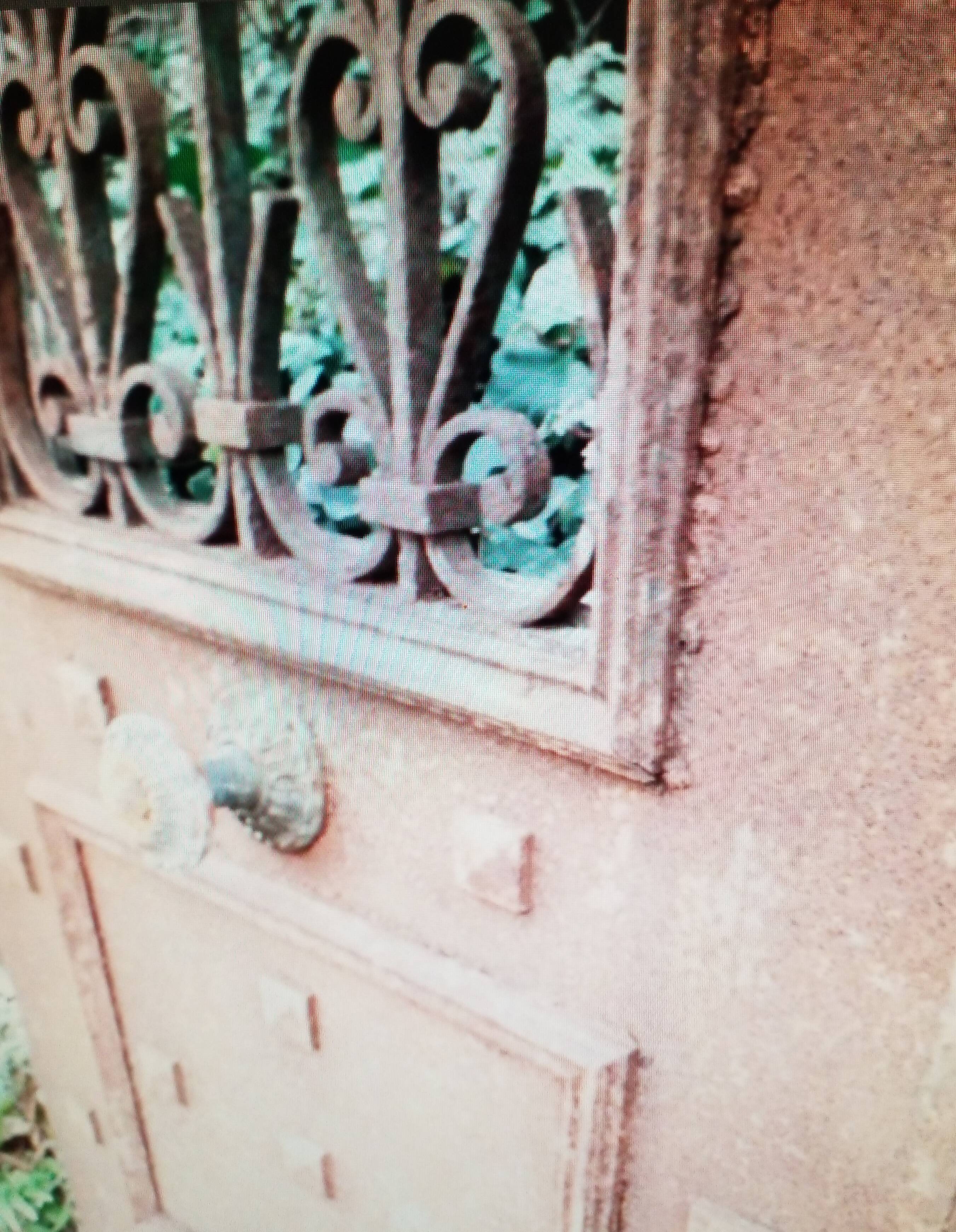 Garden door