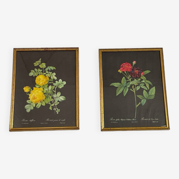 Paire de gravures fleurs