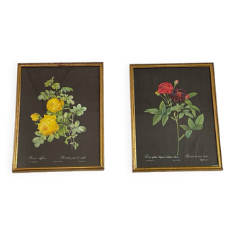 Paire de gravures fleurs