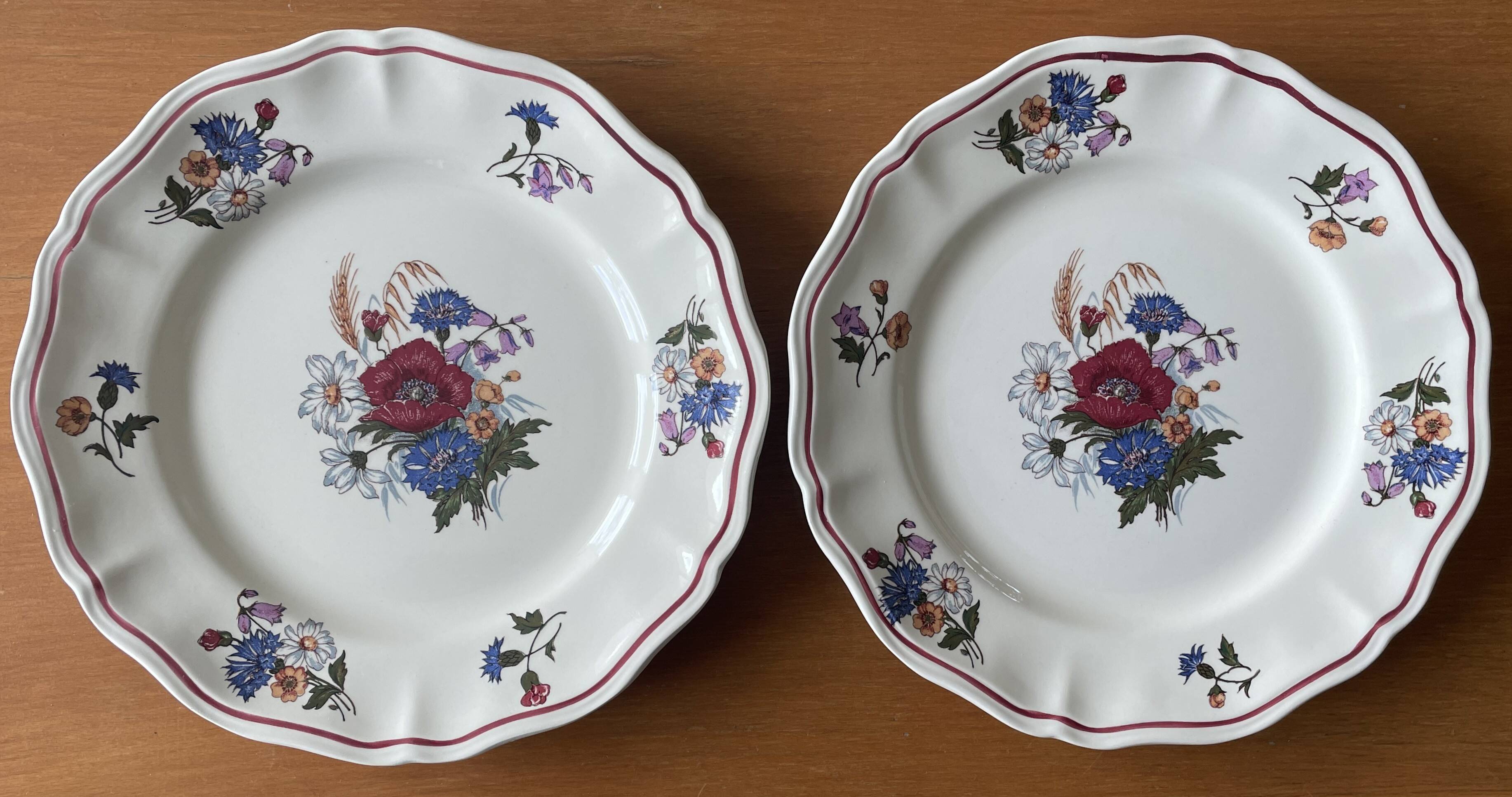 6 large flat antique plates in Sarreguemines earthenware