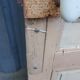 Old fir glass door