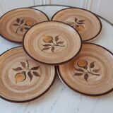 Set of 5 dessert plates in Salins stoneware 70s