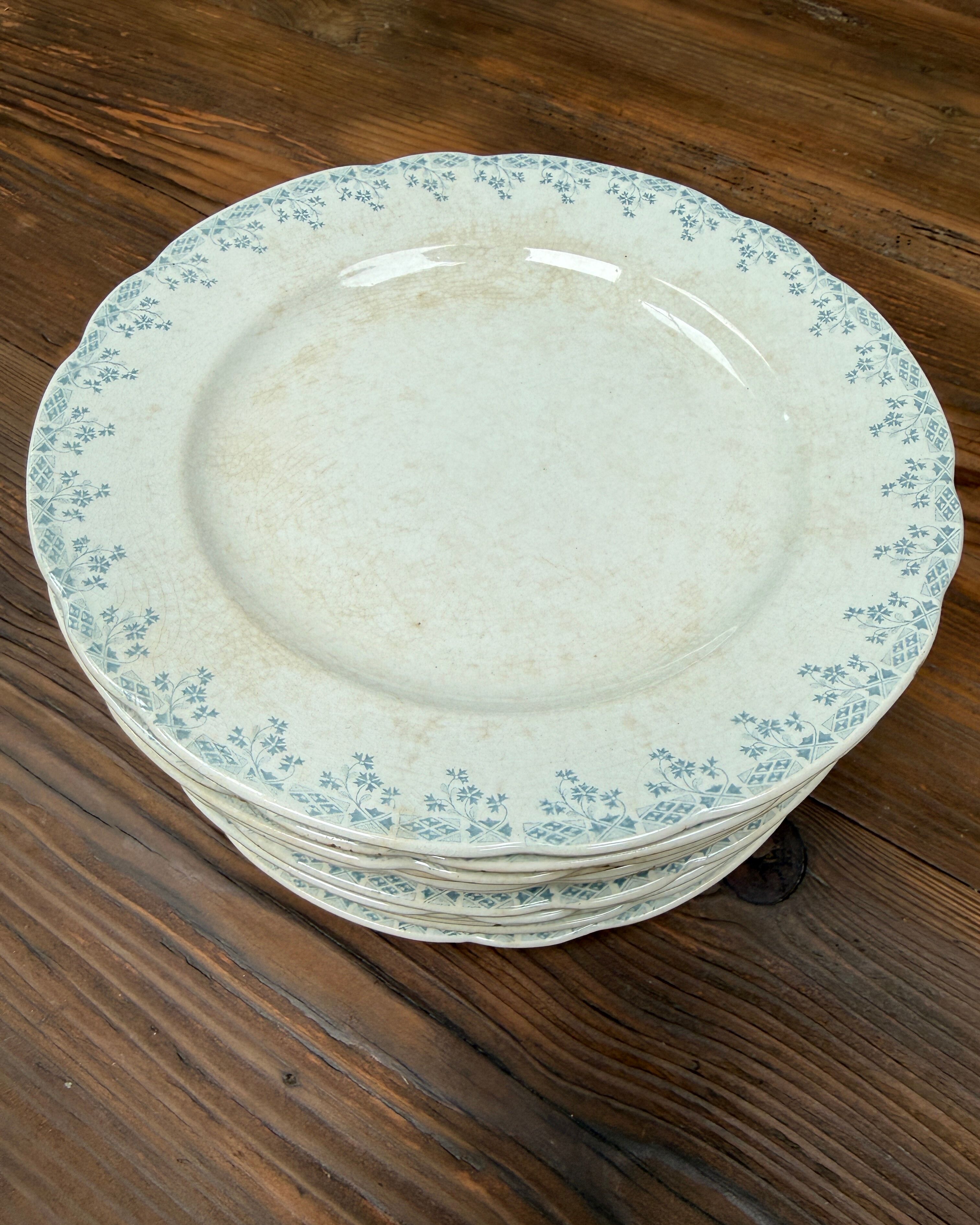 Flat plates ironstone Orchies Cérès