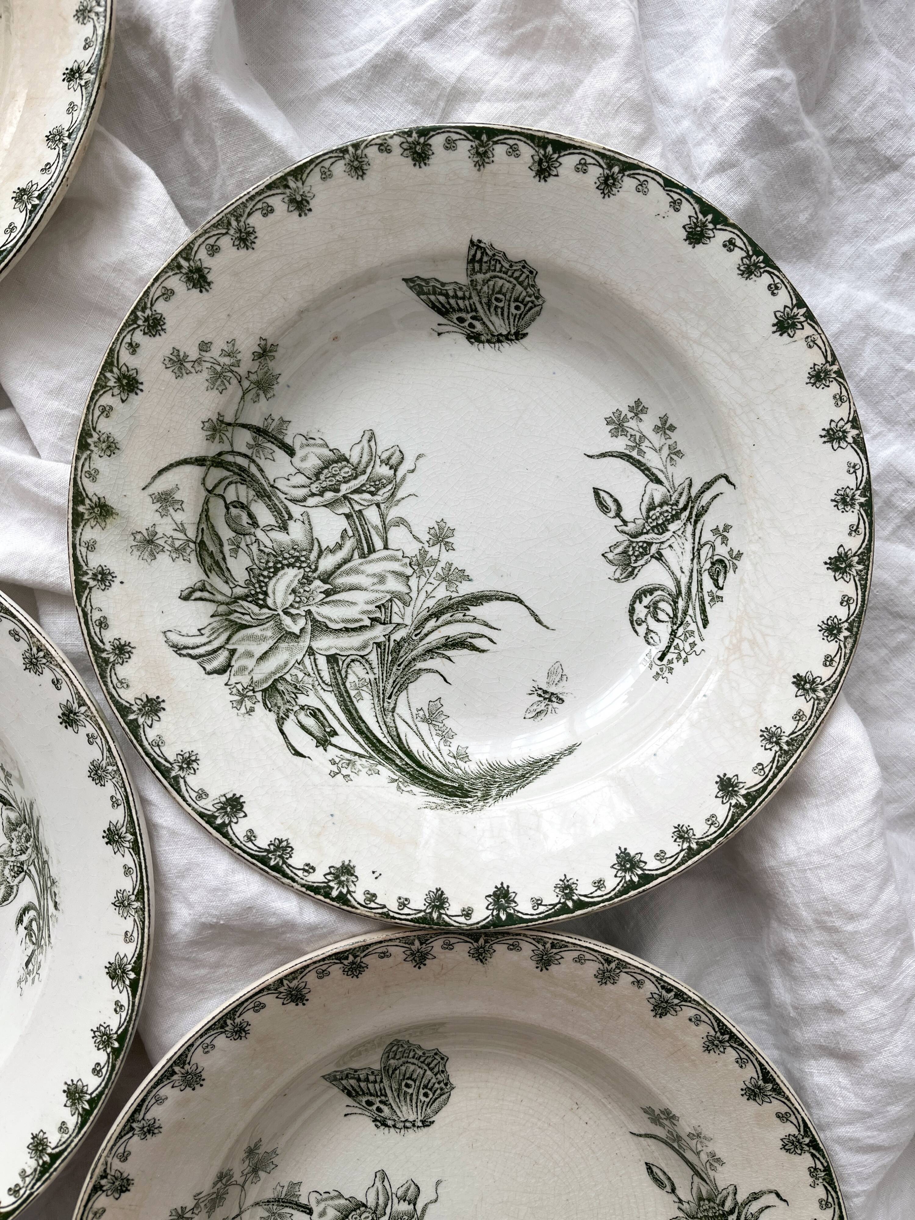 7 earthenware soup plates with butterfly and flower design "Nancy" LG Clairefontaine