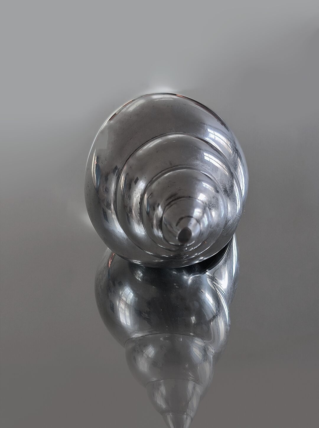 Brass shell sculpture