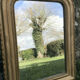 Golden old mirror 63x49