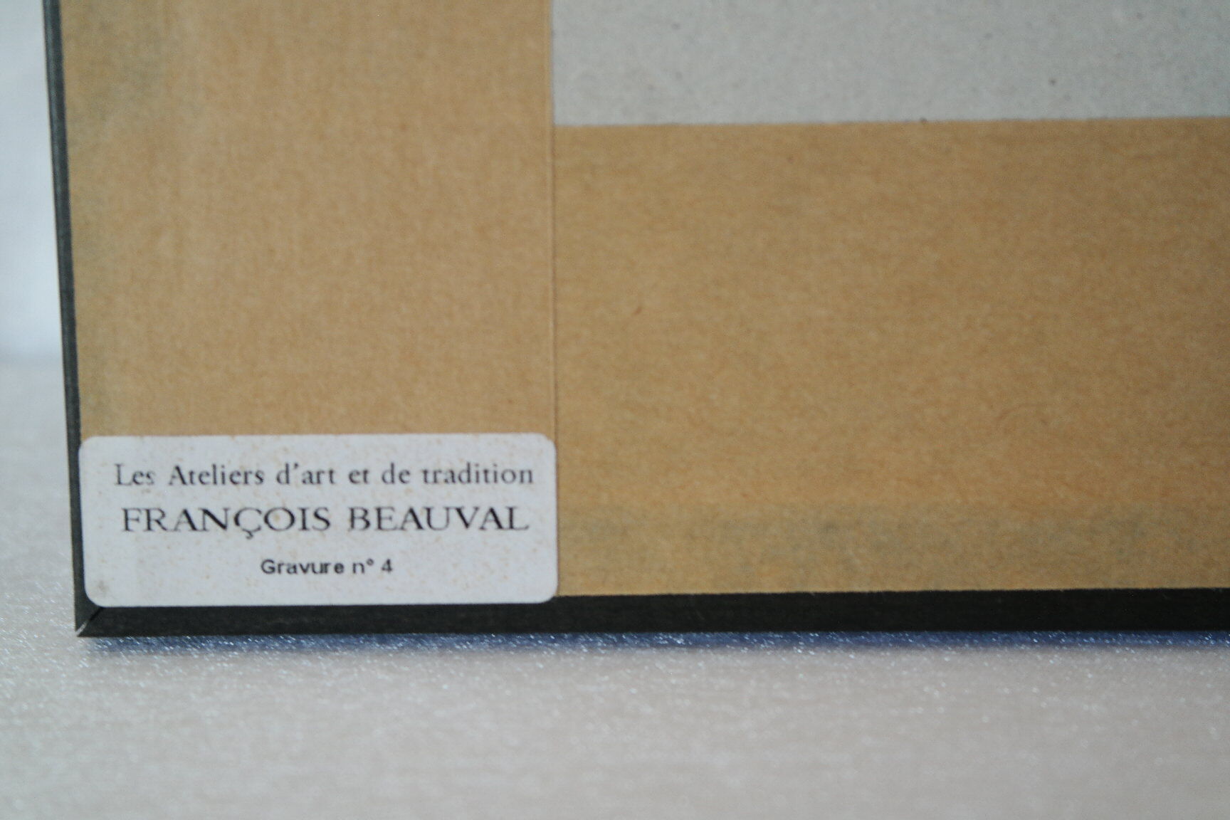 Pair of framed bird engravings