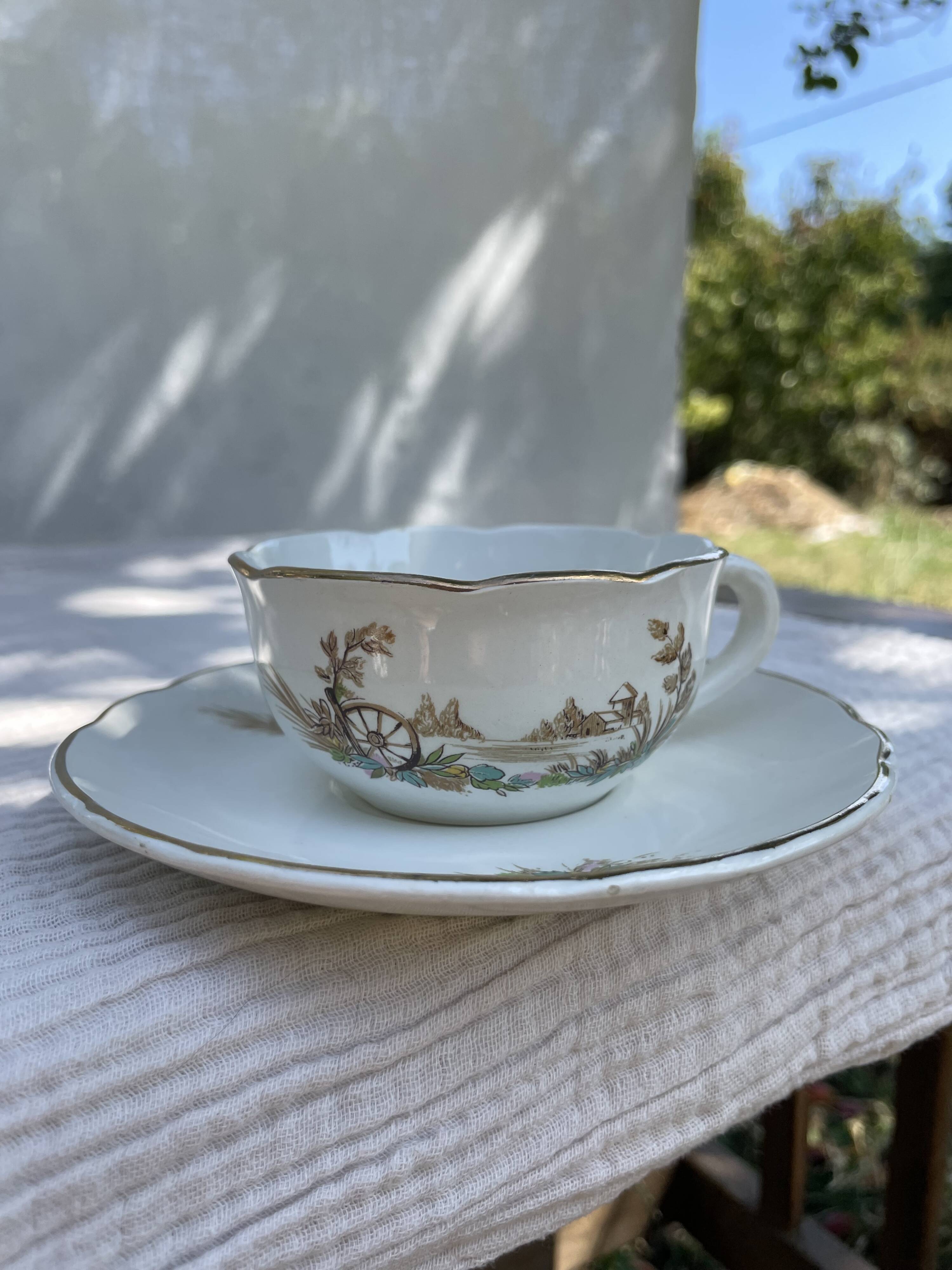 Vintage set of 5 porcelain plates and 5 cups – Digoin Sarreguemines