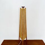 Sisal and Teak Floor Lamp by Temde