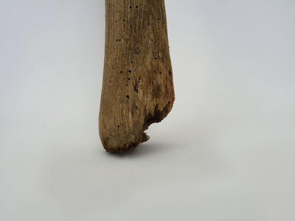 Ancienne quille basque en bois cloutée XIXème