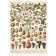 Planche ancienne sur les fruits 1897