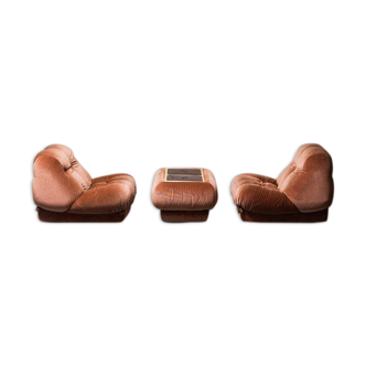 Pair of armchairs and coffee table nuvolone of rino maturi for mimo 70