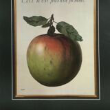 Ceci n'est pas une pomme - 1980