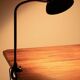 Desk-/Clamp Lamp by Christian Dell for Kaiser Idell