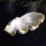 Large vintage holy water clam shell
