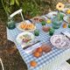 Exceptional set of 15 large mismatched plates.