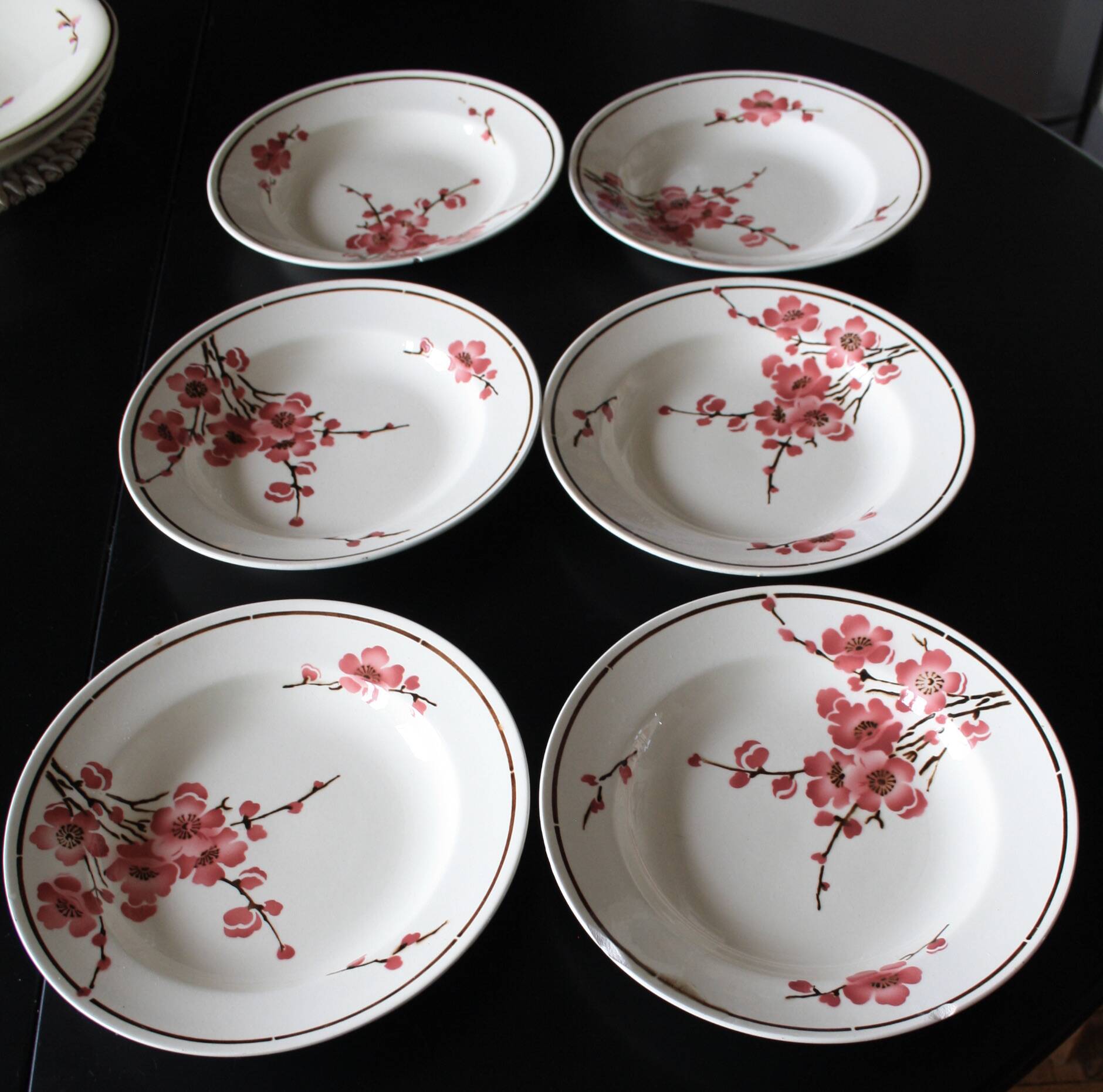 Set of 6 Terre de Fer St Amand "cherry" deep plates