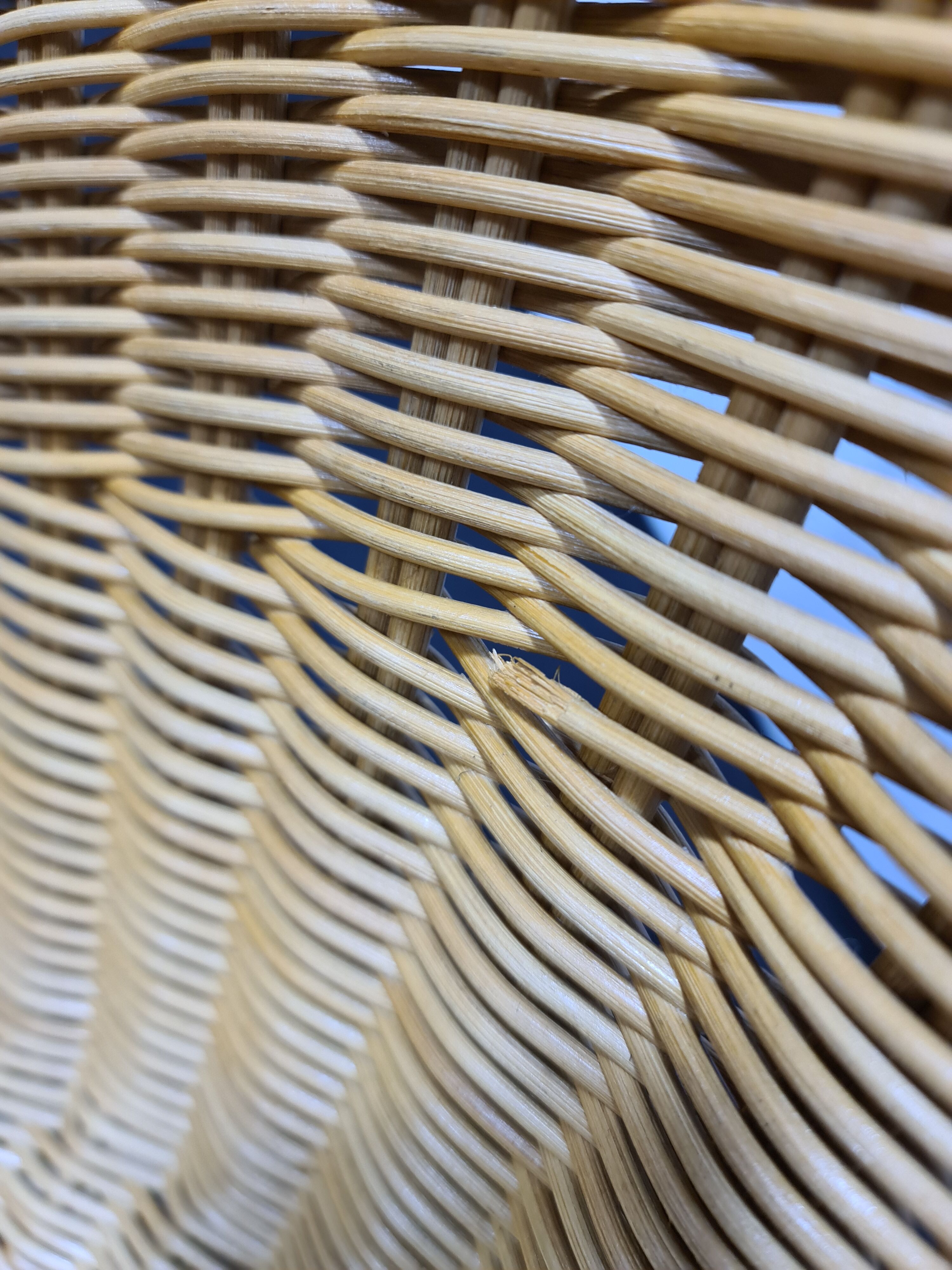 Vintage Egon Eiermann wicker chair model E 10