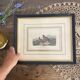 Old framed engraving of birds "red grouse"