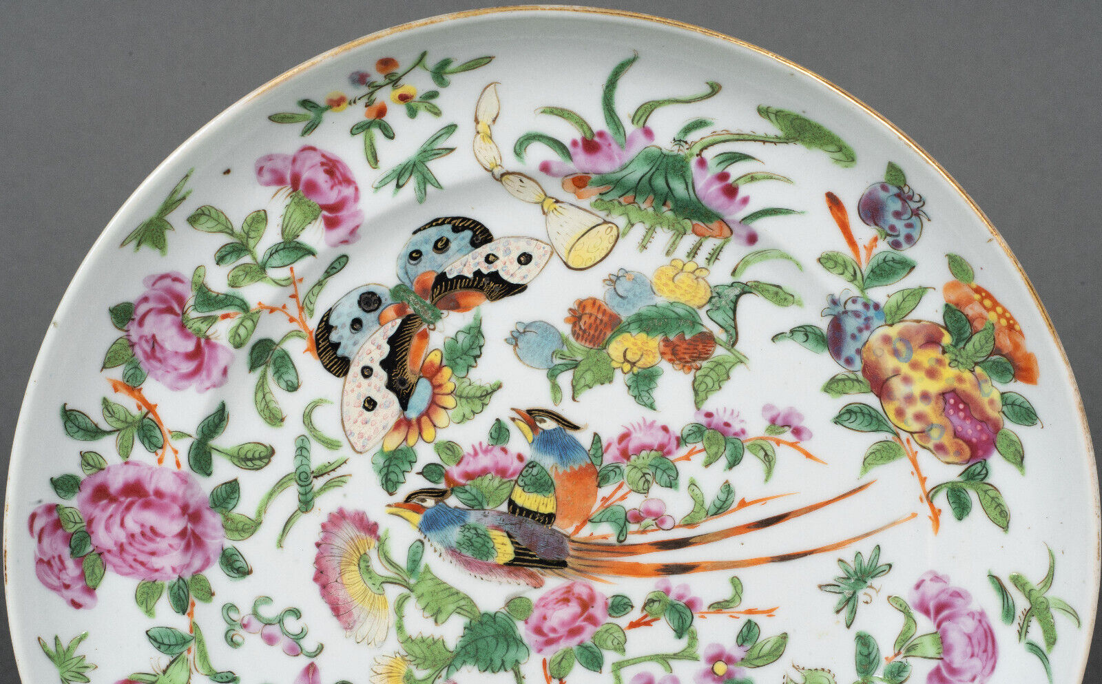 Porcelain plate of Canton XIXth decoration of butterflies and bird