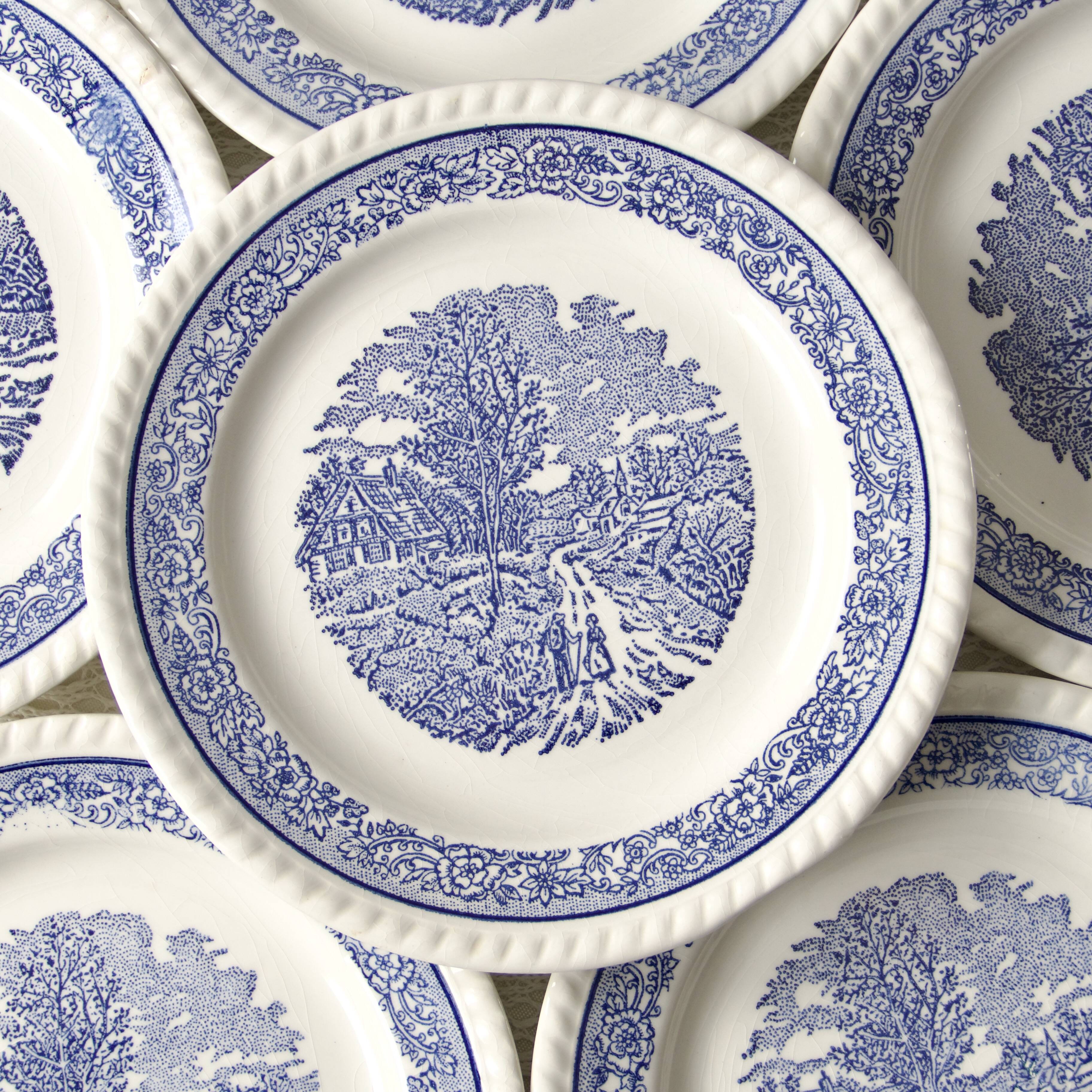 6 vintage country plates