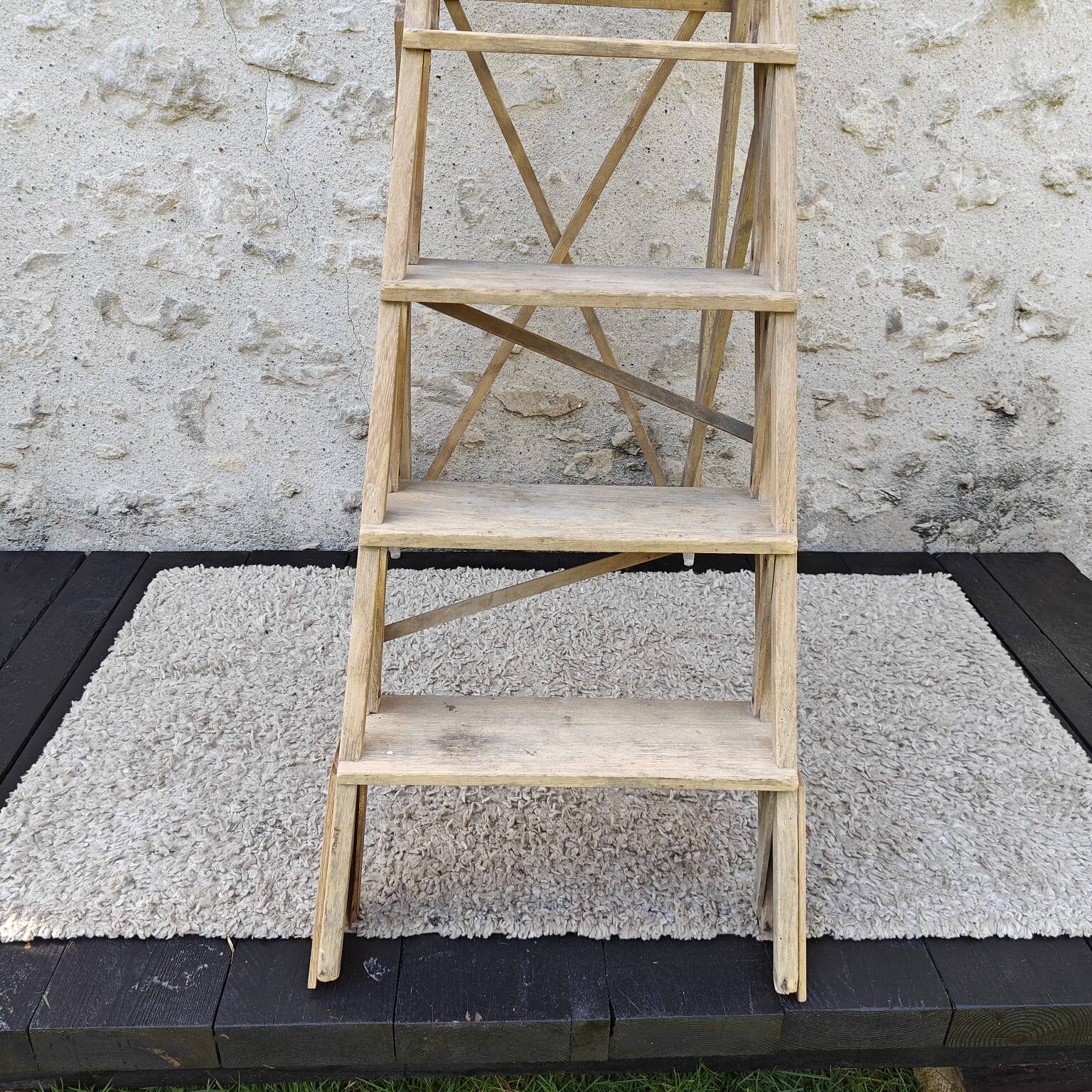 Large stepladder