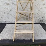 Large stepladder