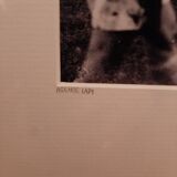Photography agency Lapi numbered and framed