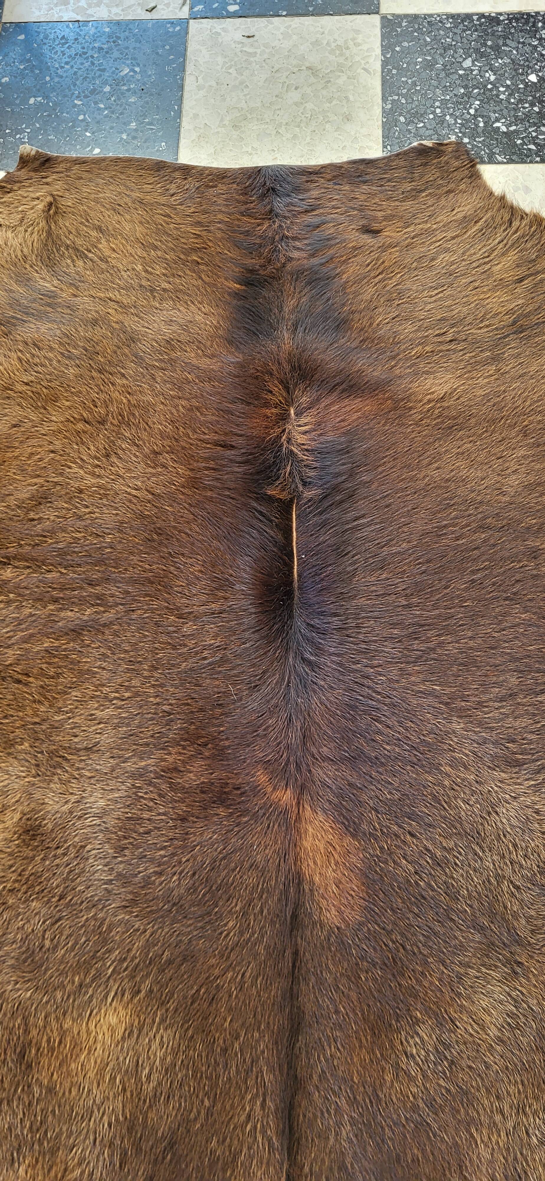 Cowhide / calfskin