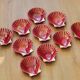 Proceram Aubagne service in red and gilded ceramic shell St Jacques 1950