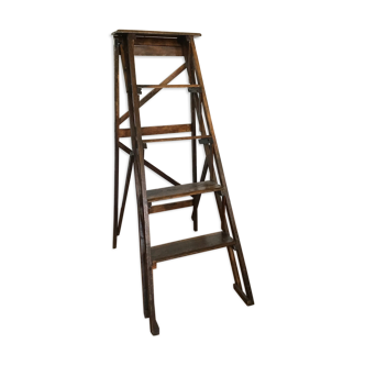 Old library stepladder