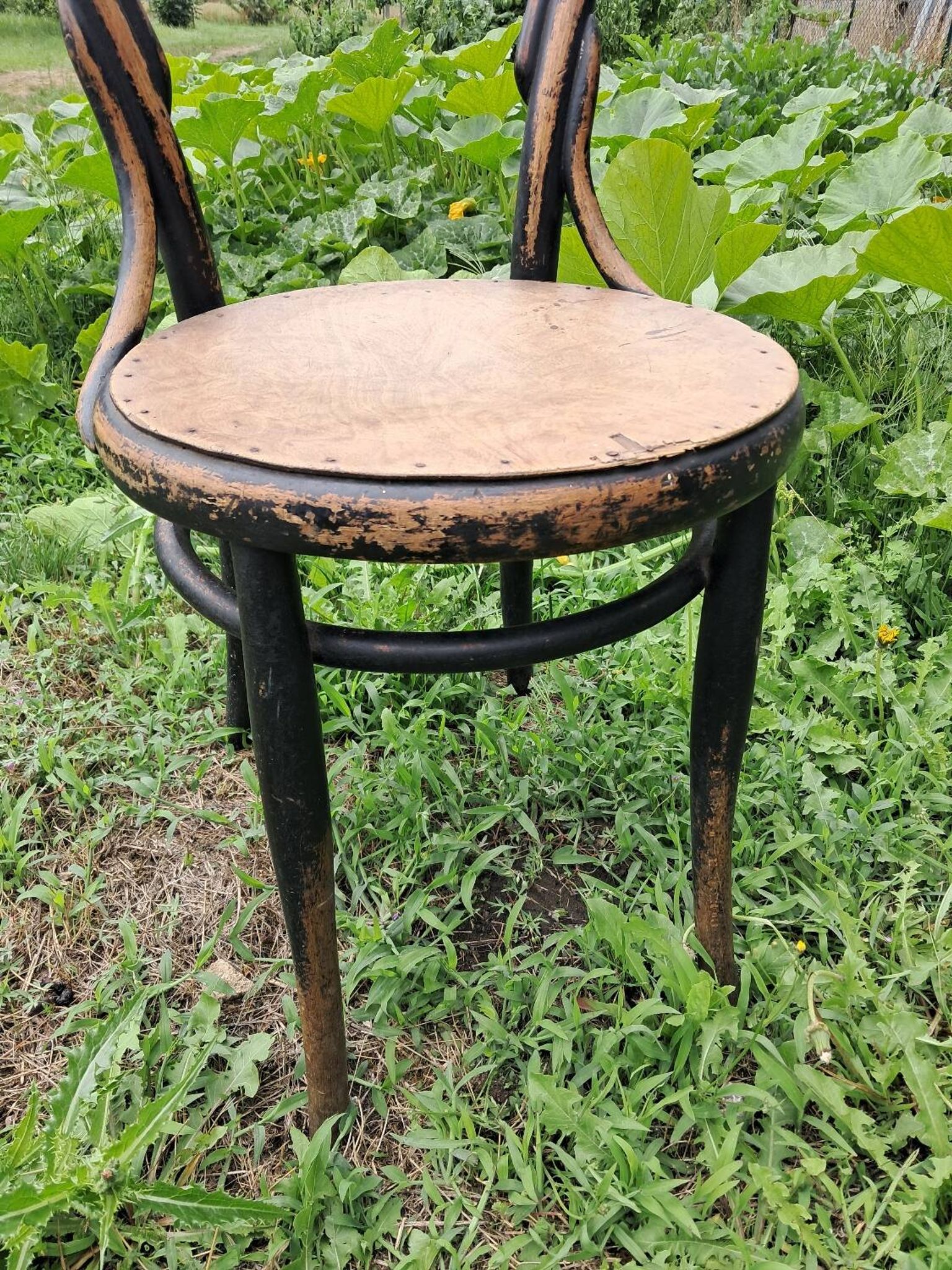 Pair of bistro-style chairs